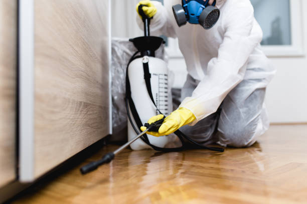 Best Best Pest Control Companies  in Bismarck, MO