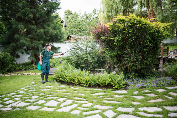Best Local Pest Control Services  in Bismarck, MO