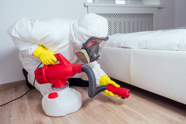 Best Affordable Pest Control Services  in Bismarck, MO