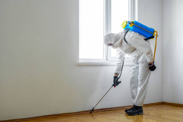 Pest Prevention Services in Bismarck, MO