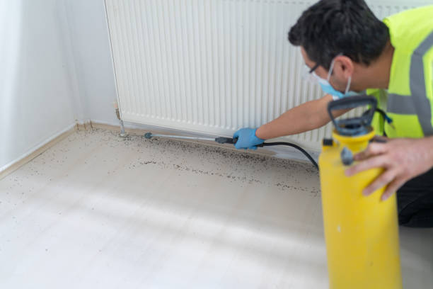 Best Best Pest Control Companies  in Bismarck, MO