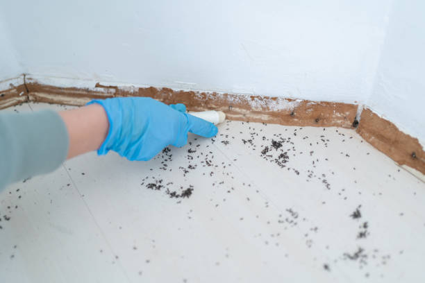 Best Wildlife Control Services  in Bismarck, MO